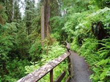 Olympic National Forest (Pacific Ranger Station)