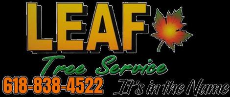 38 special for DIRTcar Modified presented by Leaf Tree Service to continue in 2025
