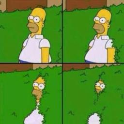 Chris Burke