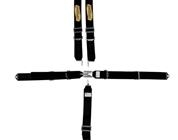 Speedway 5 Point Harness Seat Belt Combo, Latch and Link, Pull Down