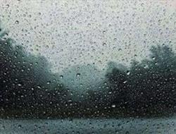 Wet Grounds today 6-6 will move the show to next w