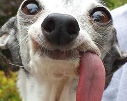 Cody Blixt 