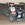 Bill Lawson Memorial race July