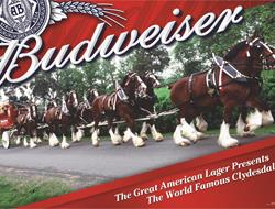 Maletis Beverage and Budweiser Partner Up For the