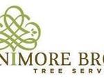 Trusted Tree Care in Central I