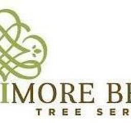 Trusted Tree Care in Central Iowa: Fenimore Bros Tree Service
