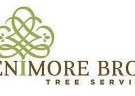 Trusted Tree Care in Central Iowa: Fenimore Bros Tree Service