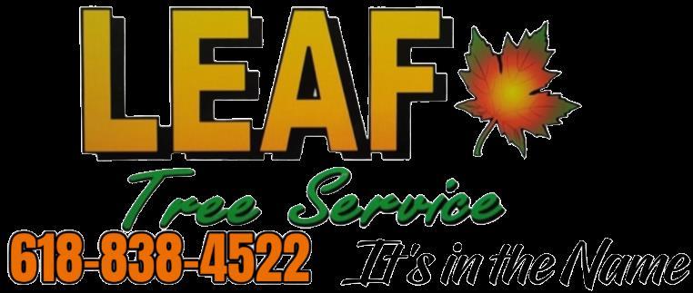 38 special for DIRTcar Modified presented by Leaf Tree Service to continue in 2025