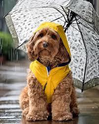 Week five of the 58th season of racing at the Ridge cancelled due to weather.