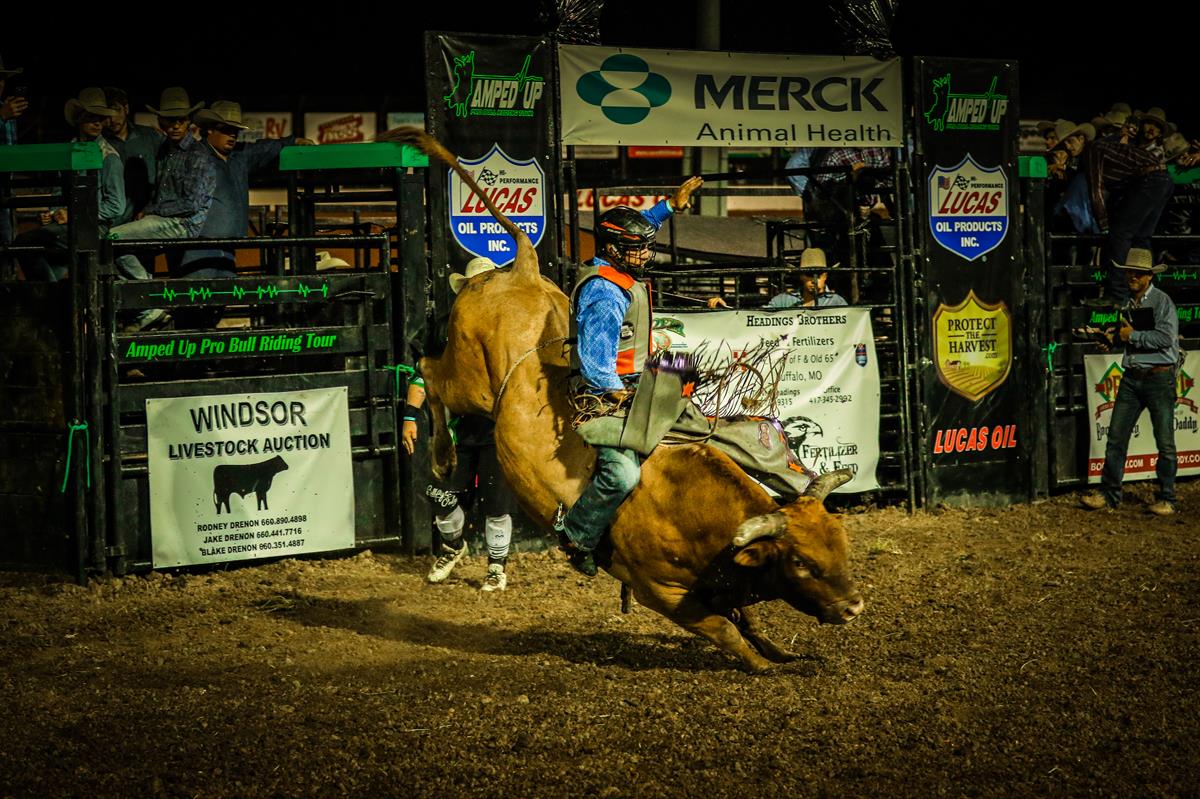 Lucas Oil Pro Bull Riding Invitational Spotlight: Riding and its danger a part of life for Zane Cook