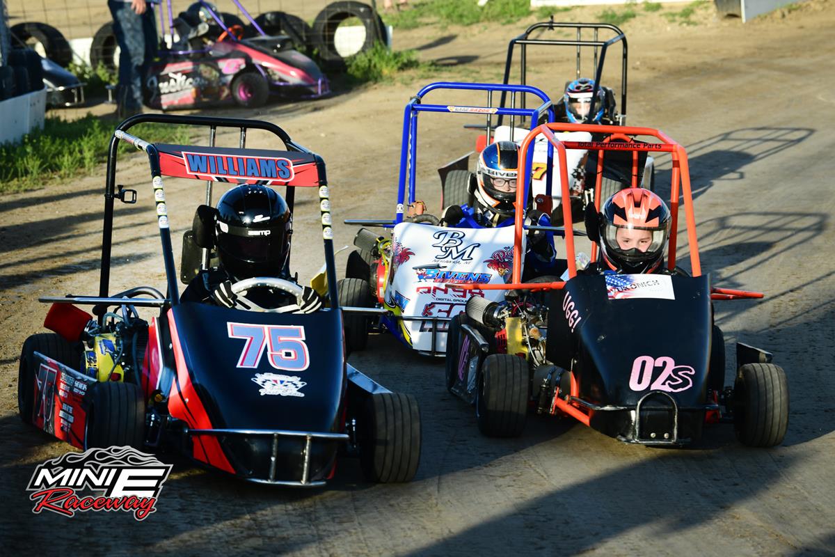 MINI DRIVER APPRECIATION presented by Fast Glass & Nick's Lawncare
