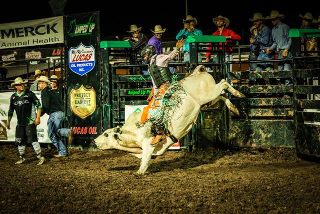 Lucas Oil Pro Bull Riding Invitational returns to Lucas Oil Speedway this weekend