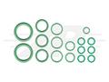 O-Ring Kit - Massey Ferguson, Agco/Allis and Caterpillar 