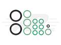 Agco/Allis 7000-8700 Series O-Ring Kit