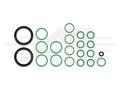 O-Ring Kit - Agco/Allis