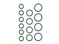 Bobcat Skidsteer O-Ring Kit