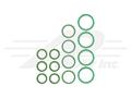 O-Ring Kit - Bobcat Skidsteer 