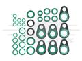 Ford F Series/Focus/Mustang - O-Ring & Seal Kit