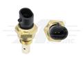 Ambient Air Pressure Sensor