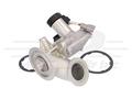Exhaust Gas Recirculation Valve