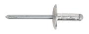 Large Head Mill Finish Rivets XXL