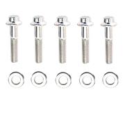 ARP Stainless Steel 12-Point Bolts - 5/16-18 X 1.500 5/Pack