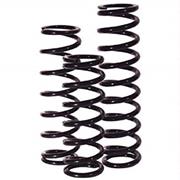 Integra Rear Springs 5"x16"