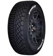 Rally 195/50R-15 TW1 W