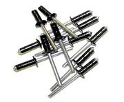 Small Head Black Rivets XXL