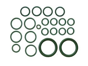 AGCO/Allis O-Ring Kit