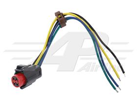 Ford/Sterling Wire Harness