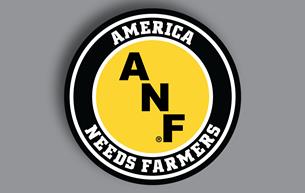 ANF Design 11" 2D