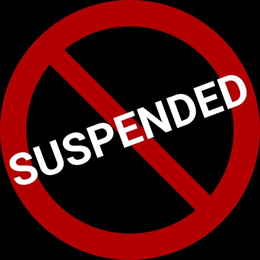 Internet slandering leads to suspension