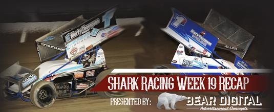 Shark Racing Week 19 Recap