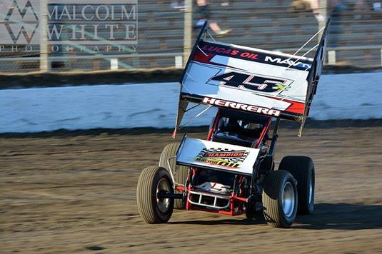 Herrera Back in Action This Weekend at Winter Heat Sprint Car Showdown