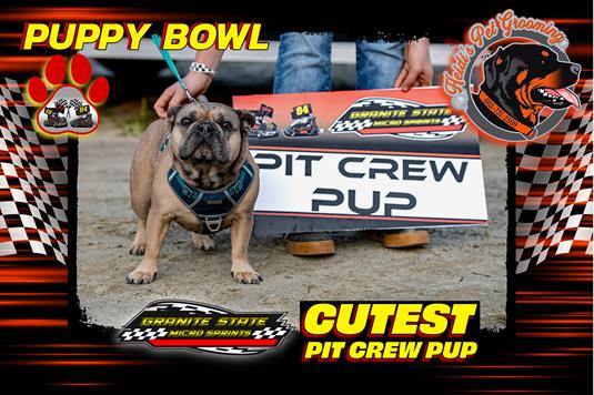Zoomie Rookies Dominate Puppy Bowl at Legion Speedway!
