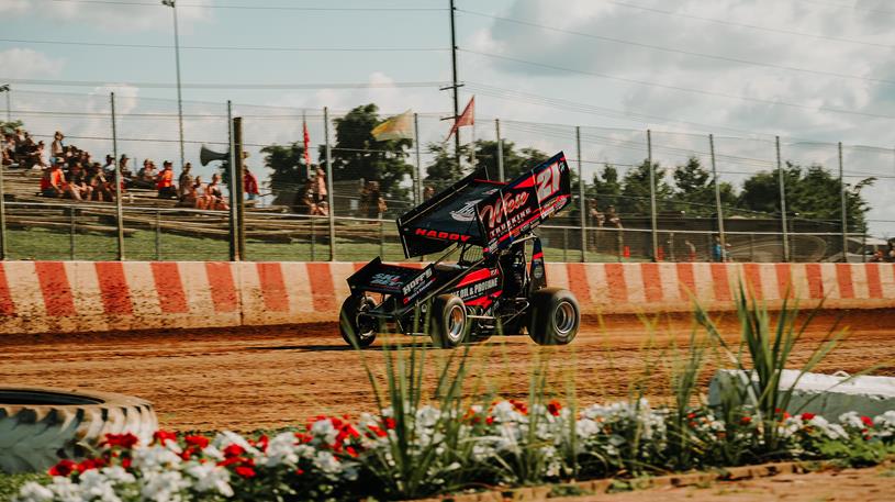 TJ Haddy