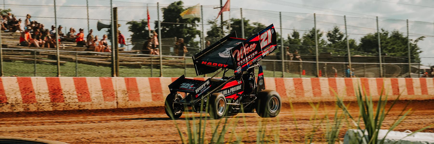 TJ Haddy