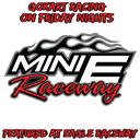Mini E Raceway