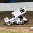 Piper Harless
