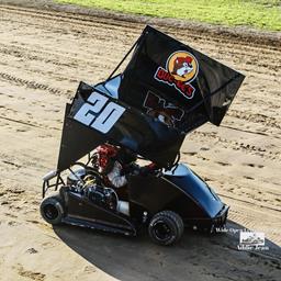 Wyatt Bird