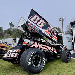 Joey Ancona