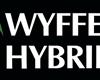 US Farm Family Owned, Wyffels Hybrids, Continues to Give Back!