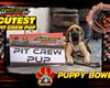 Zoomie Rookies Dominate Puppy Bowl at Legion Speedway!