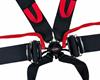 NecksGen Camlock 6 Point Racing Harnesses
