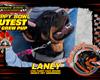 Zoomie Rookies Dominate Puppy Bowl at Legion Speedway!