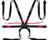 NecksGen Camlock 6 Point Racing Harnesses