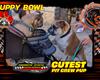 Zoomie Rookies Dominate Puppy Bowl at Legion Speedway!