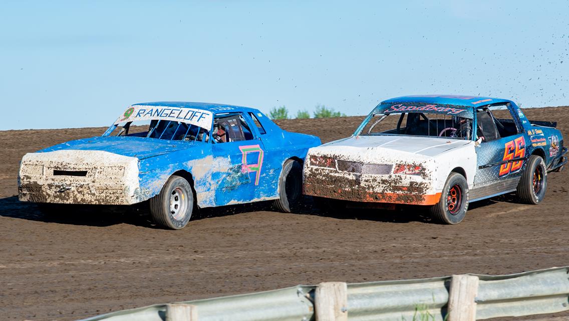 CAUTIONS PLAGUE HOBBY STOCK FEATURE