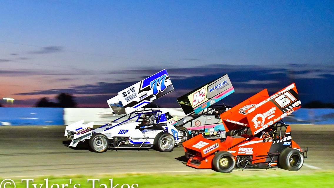 Tillman Takes Thrilling Stinker Skunk Cup
